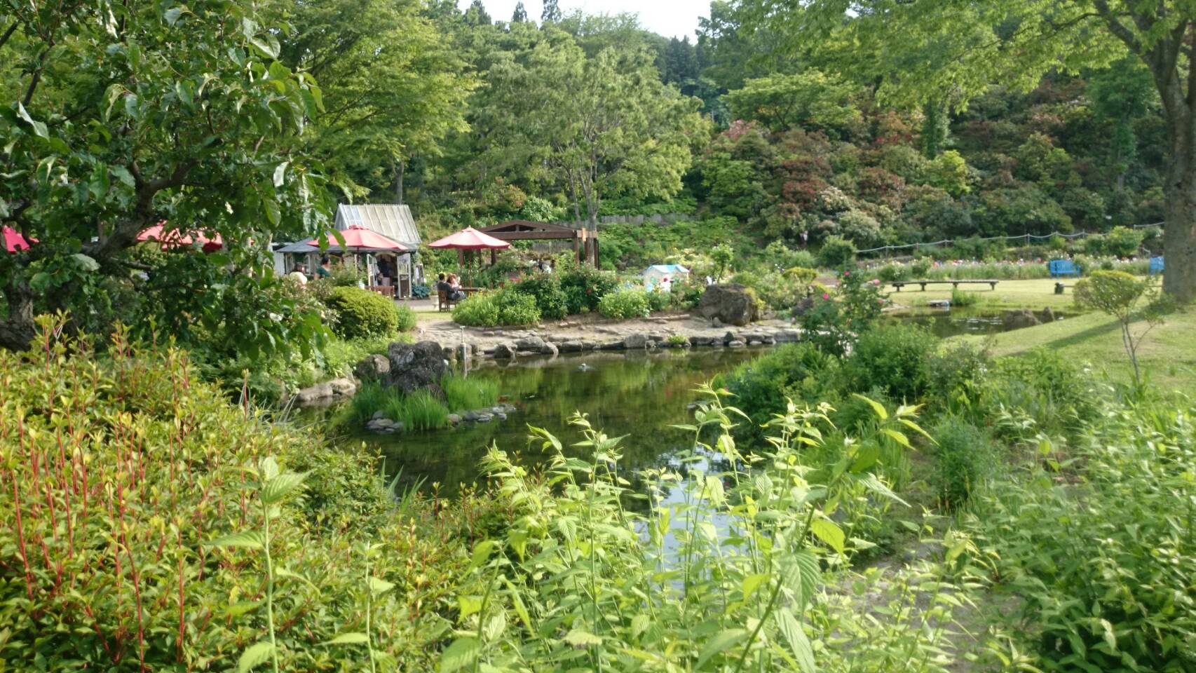 自然の美しさを感じる 泉ボタニカルガーデン Tohoku365