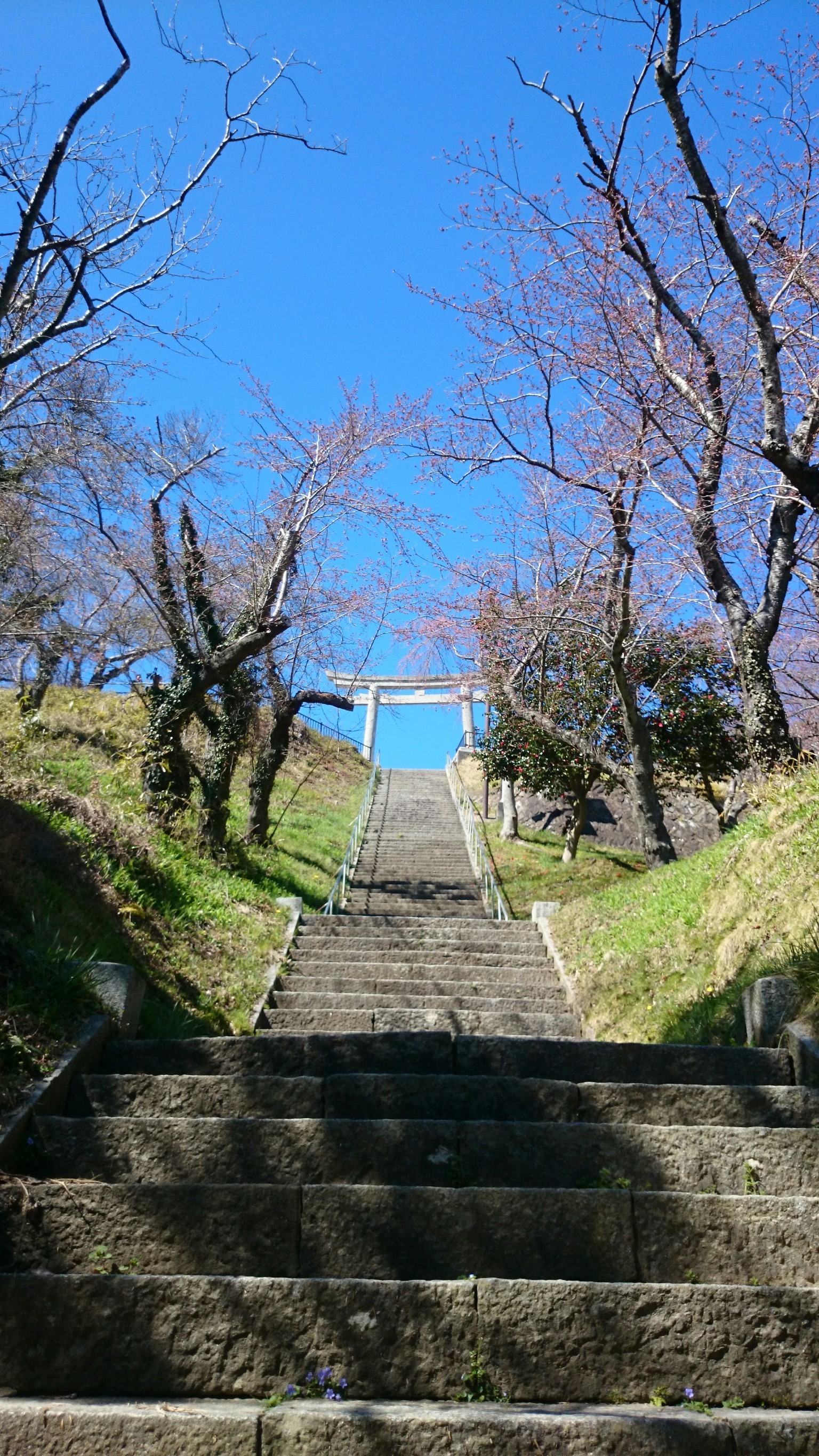 เดินทางมาเยือนอิชิโนะมากิกับทูต VISIT JAPAN