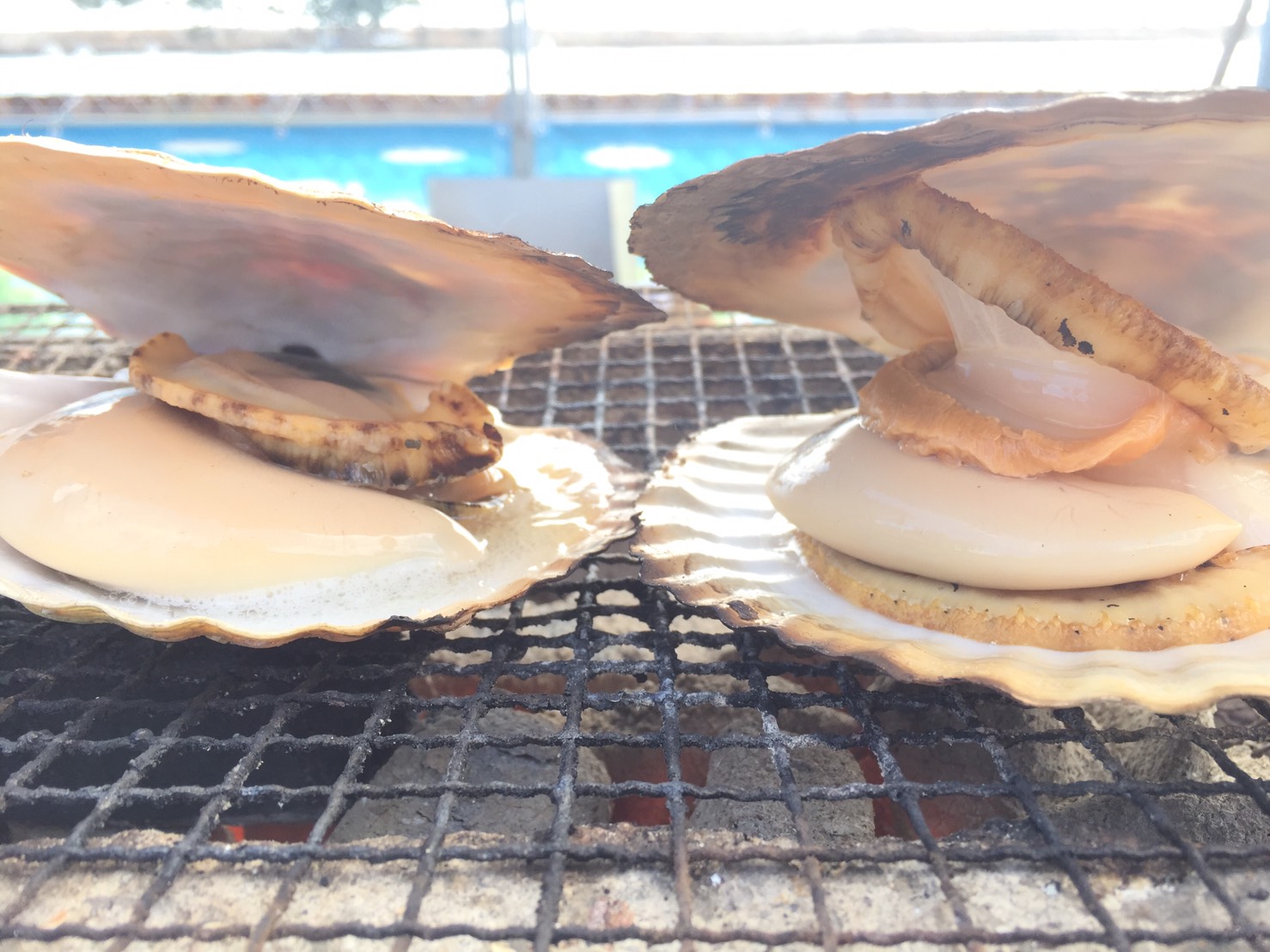 The 3 best foods in Yuriage port’s morning market