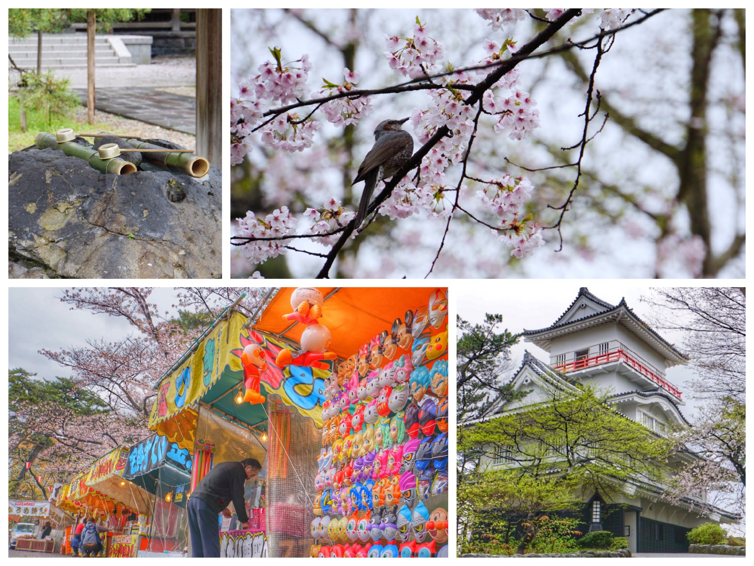 Festivals, Sakura, Shrines and a castle?! Overwhelming contents sensyuu park part 2