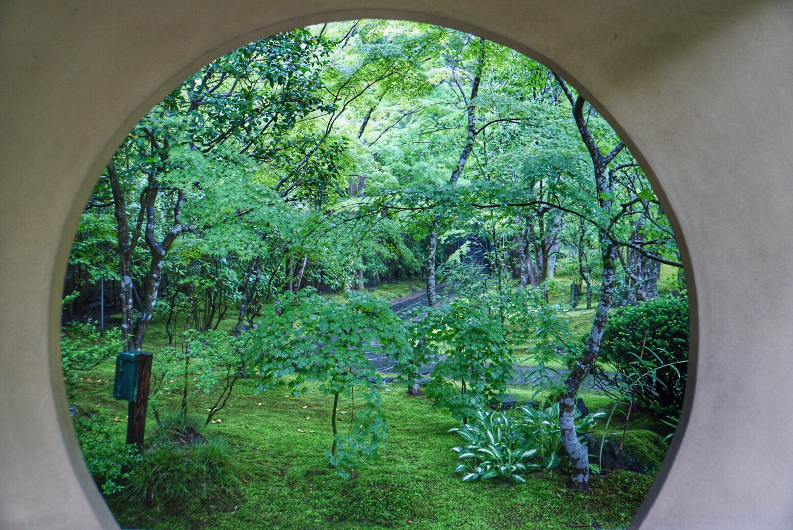 梅雨の松島1人旅