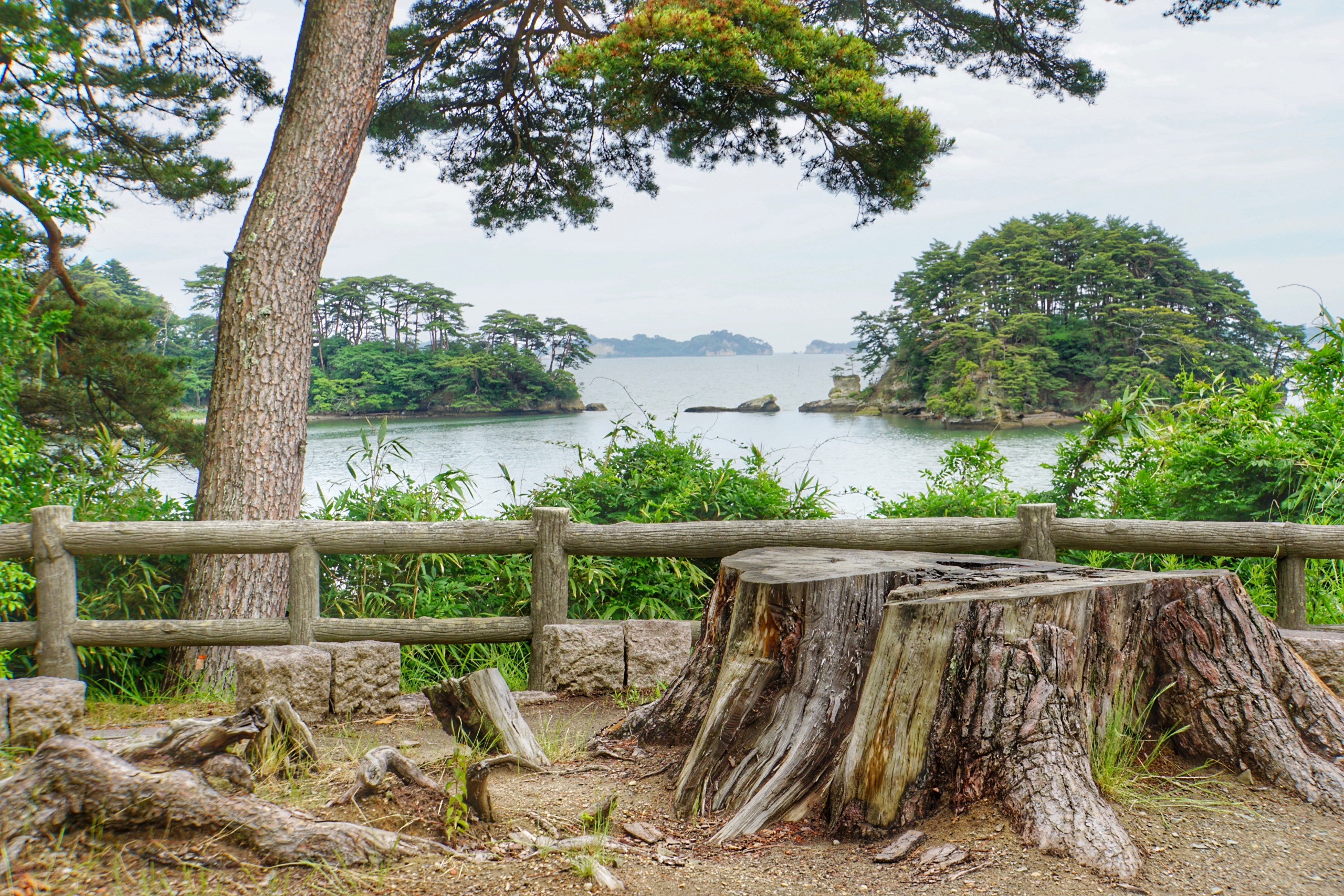 My trip to Matsushima during the rainy season Part 2