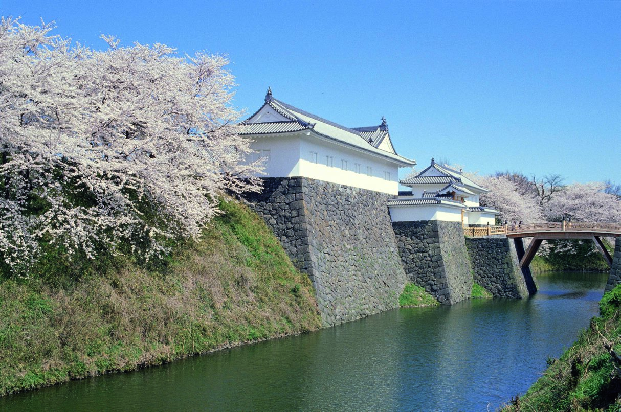 Only from Mid to Late April! A 2-Days, 1-night Model Course to Fully Indulge in Cherry Blossom spots in Zao