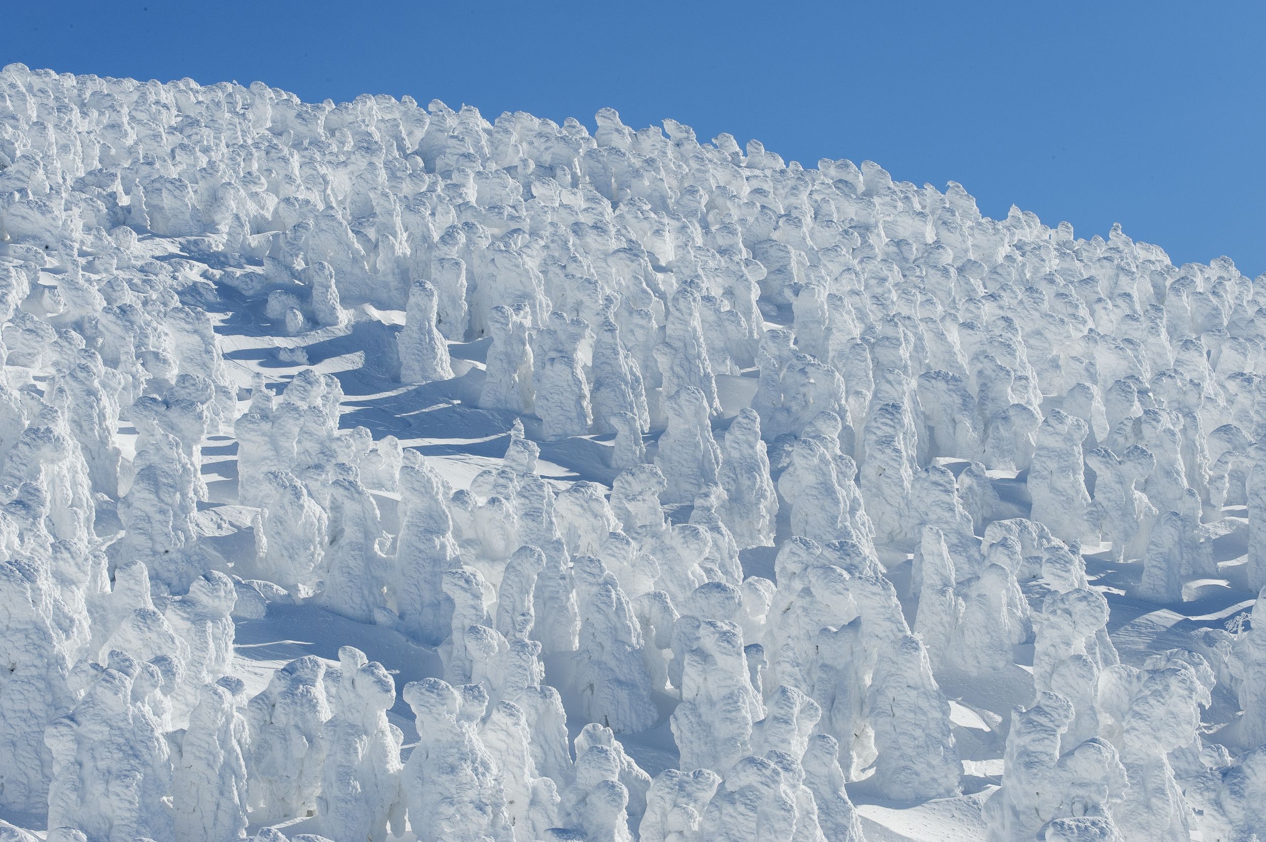 A model course for two days and one night to enjoy the Soft Rime Ropeway (Yamagata) in winter